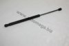 AUTOMEGA 3182705506Y0C Gas Spring, boot-/cargo area